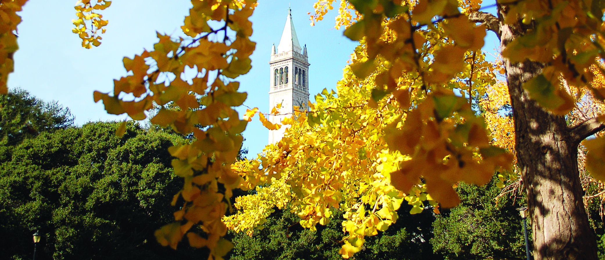 The campanile is in the background, surrounded by golden and orange leaves in the foreground. Other green trees are the middle ground.