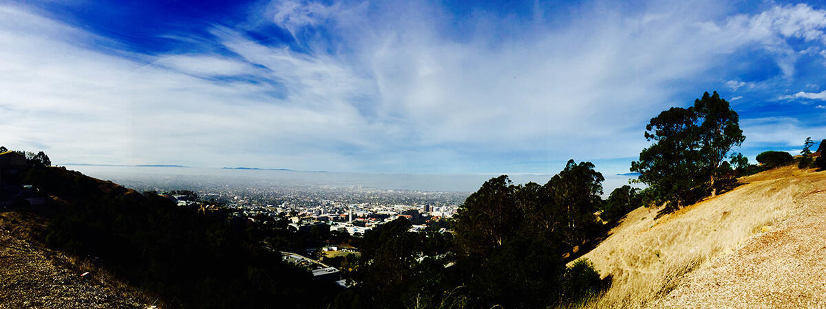 Aerial view of the Berkeley campus in daytime, taken from the hills.