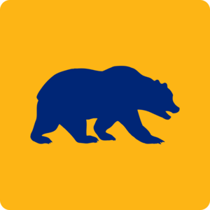 The dark blue walking bear on a gold background